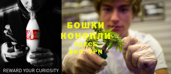 молекула духа Зеленодольск