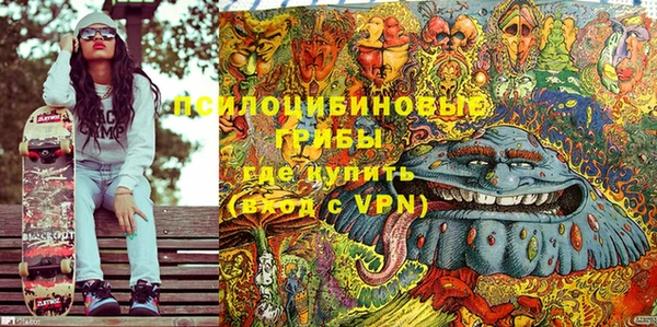 молекула духа Баксан