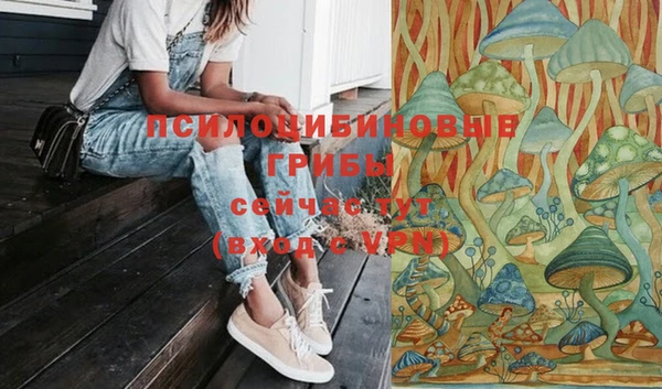 молекула духа Баксан